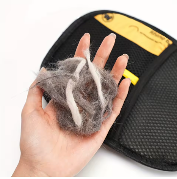 Comment éliminer les poils d’animaux à la maison ? La solution douce, écologique et efficace 🧤✨