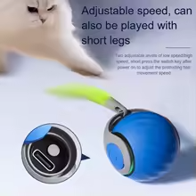 Speedy Tail 2.0